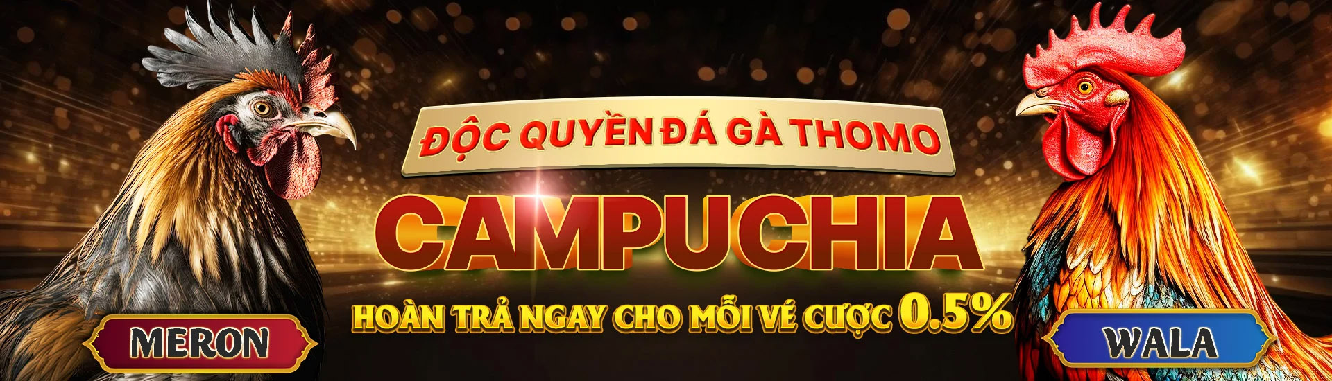 Cá Cược Đá Gà Thomo Trực Tiếp